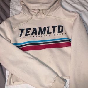 Team Ltd crop sweater